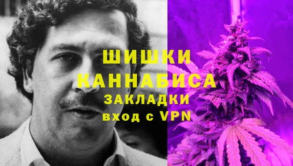 молекула духа Аркадак