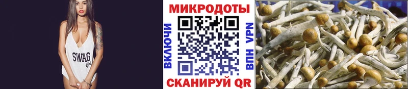 Галлюциногенные грибы Psilocybine cubensis  shop официальный сайт  Белокуриха 